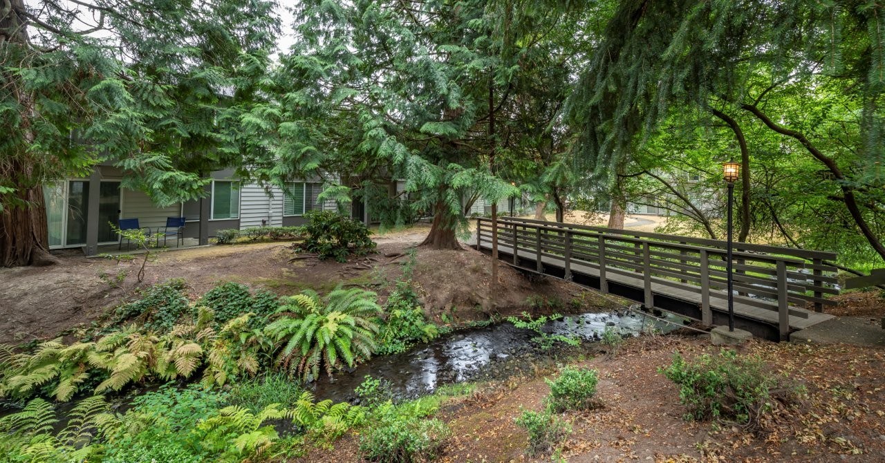 Vue Kirkland — image 17